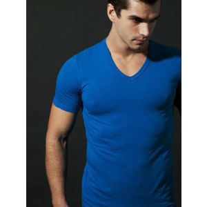 Blueberry Zing V-Neck Tee