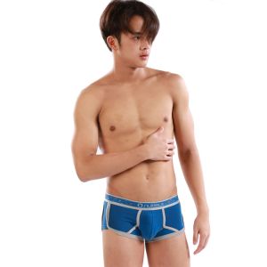 Seed of Life Trunks