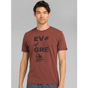 Evergreen Maple Tee