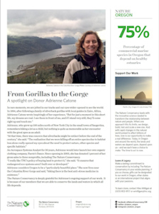 Nature Conservancy Writeup on FaeriesDance.com